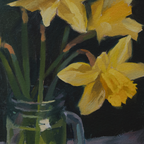 Daffodils
