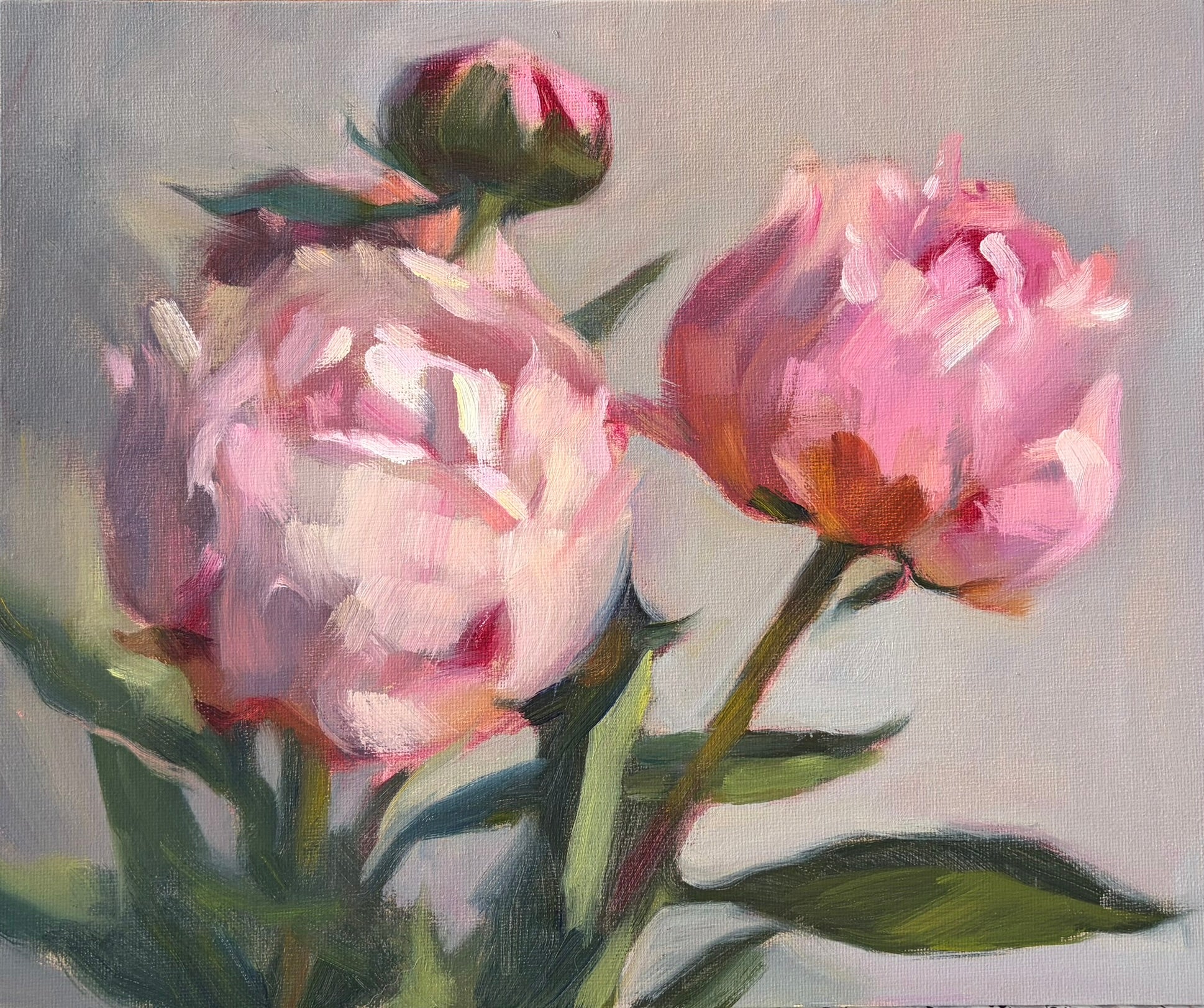 Peonies oil painting by Svetlana Gavrisheva