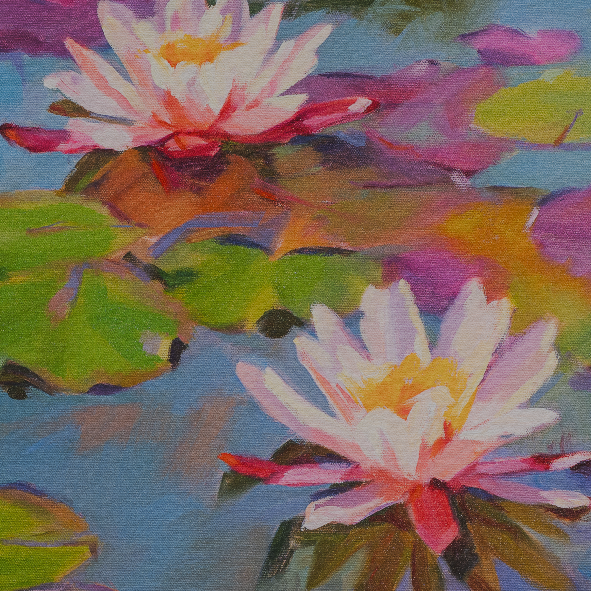 Water Lillies